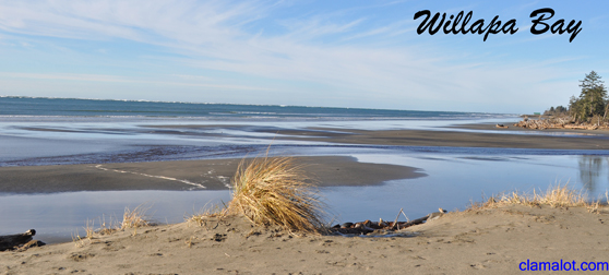 Willapa